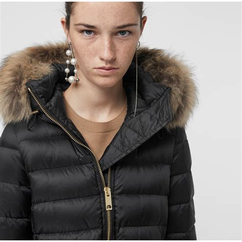 burberry detachable hood down filled puffer coat